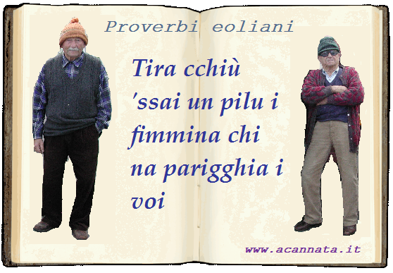 [Immagine: proverbi25012012.png]